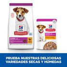 Hill's Science Plan Puppy Small & Mini Pollo Pienso para perros, , large image number null